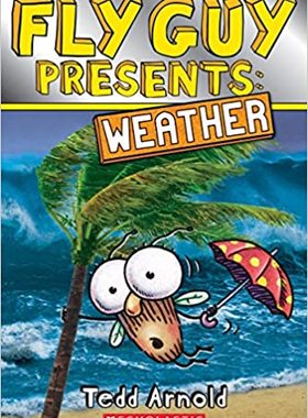 【特价清仓】英文原版 FLYGUY PRESENTS 9 WEATHER 苍蝇小子9天气 儿童启蒙观察力趣味英语阅读故事图画书籍