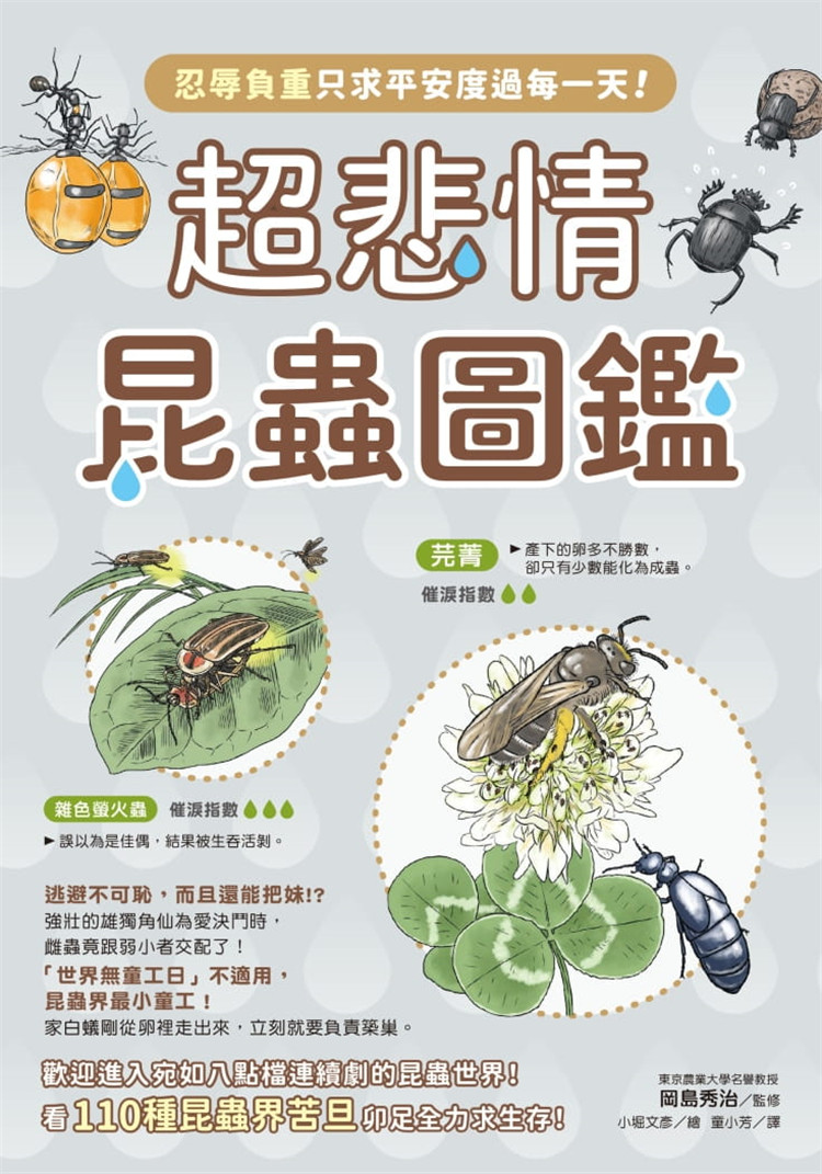 【现货】台版 超悲情昆虫图鉴 110种昆虫界苦旦卯足全力求生存插画