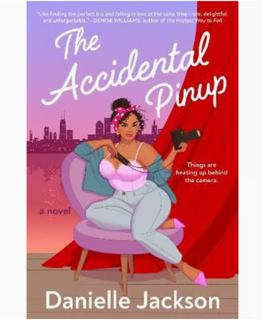 【预售】英文原版 the accidental pinup 意外的照片 berkley