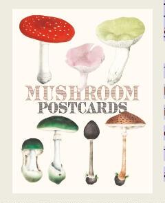 【现货】英文原版 Mushroom Postcards蘑菇的明信片 精美的植物插图百科全书蘑菇研究参考艺术绘画书籍