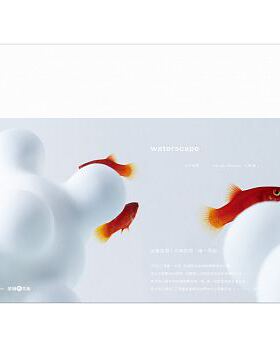【现货】台版 Waterscape 水中风景 艺术设计书籍 雄狮美术