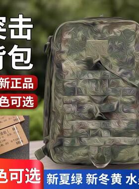 户外新式正品P21-战术突击双肩迷彩背包E19N作训包背囊单作训包背