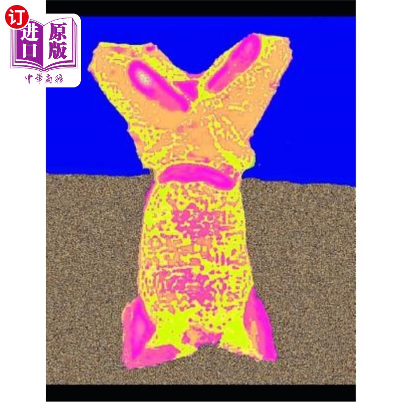 海外直订Heroes: Digital Image Processing 英雄:数字图像处理