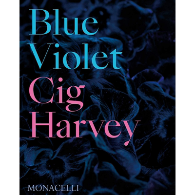 现货 Blue Violet 进口艺术 蓝紫罗兰【中商原版】