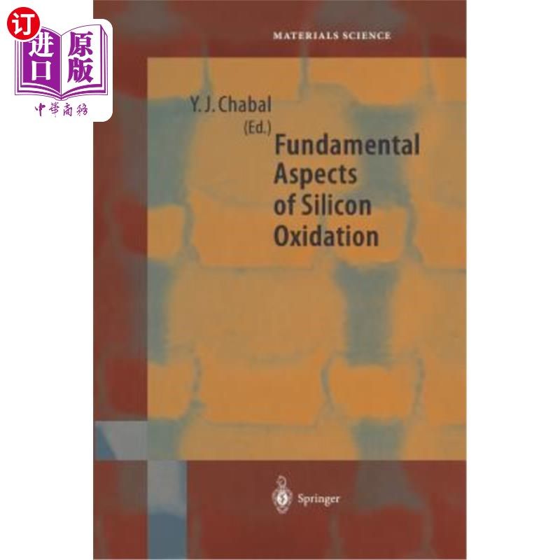 海外直订Fundamental Aspects of Silicon Oxidation 硅氧化的基本方面
