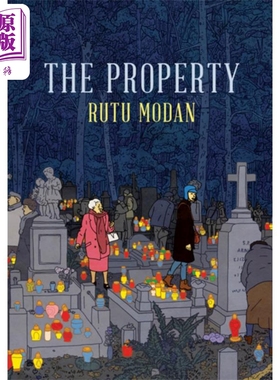 现货 遗产 英文原版 The Property Rutu Modan Jessica Cohen 流行小说【中商原版】