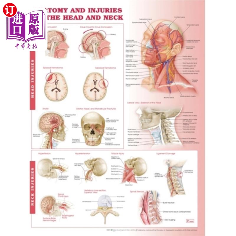 海外直订医药图书Anatomy and Injuries of the Head and Neck Anatom... 头颈部解剖图解剖与损伤
