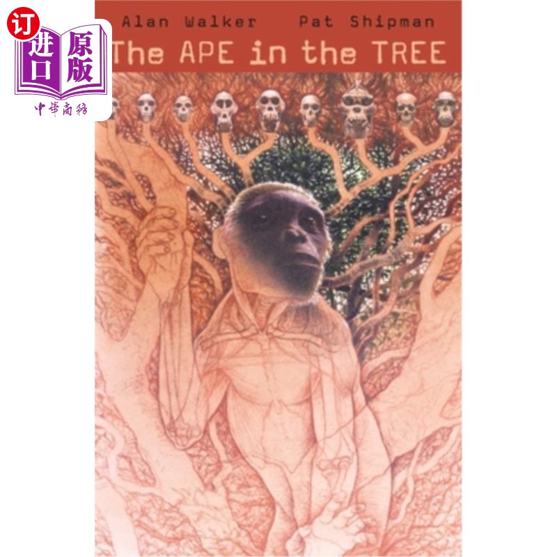 海外直订The Ape in the Tree: An Intellectual and Natural History of Proconsul 树上的猿猴:《地方长官的思想史和自然史