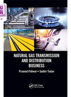 海外直订Natural Gas Transmission and Distribution Busine... 天然气输配业务