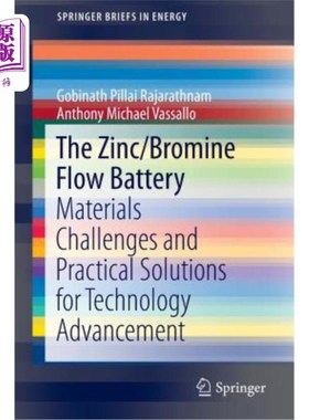 海外直订The Zinc/Bromine Flow Battery: Materials Challenges and Practical Solutions for  锌/溴流电池：技术进步的材料挑