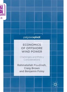 海外直订Economics of Offshore Wind Power: Challenges and Policy Considerations 海上风电经济：挑战和政策考虑