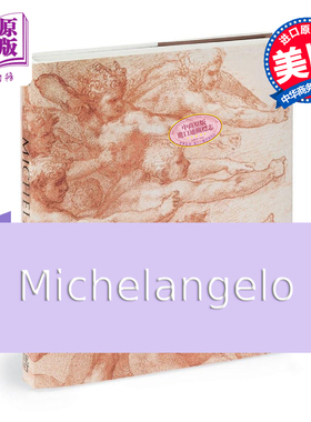 米开朗基罗 神圣的画家和设计师 进口艺术Michelangelo Divine Draftsman and Designer西方艺术文艺复兴米开朗琪罗耶鲁大学?
