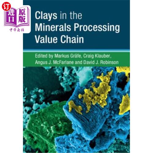 海外直订Clays in the Minerals Processing Value Chain 粘土在矿物加工价值链
