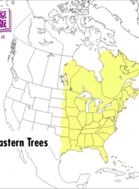 海外直订A Peterson Field Guide to Eastern Trees: Eastern United States and Canada, Inclu 《彼得森东部树木野外指南：