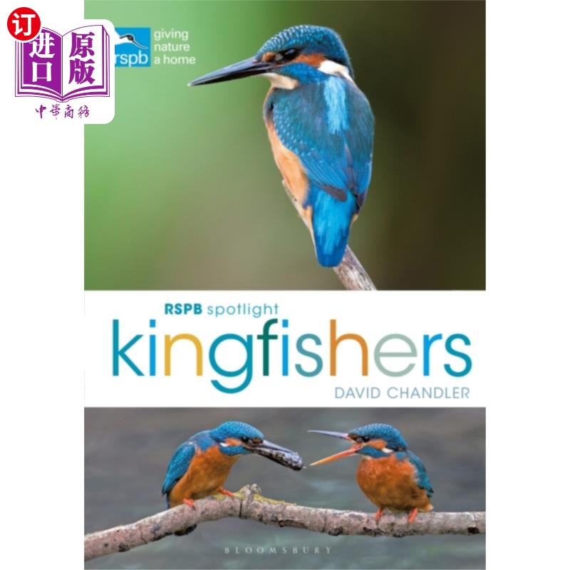 海外直订RSPB Spotlight Kingfishers 皇家鸟类保护协会聚光灯翠鸟