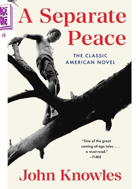 小说 独自和解 A Separate Peace by John Knowles【中商原版】英文原版
