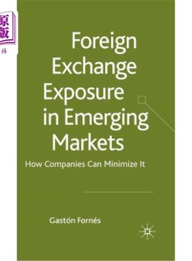 海外直订Foreign Exchange Exposure in Emerging Markets: How Companies Can Minimize It 新兴市场的外汇风险:企业如何将