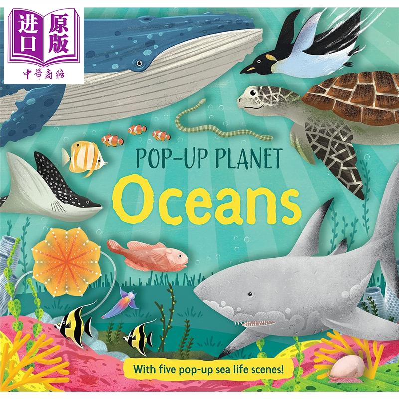 立体书：海洋生态英文原版科普