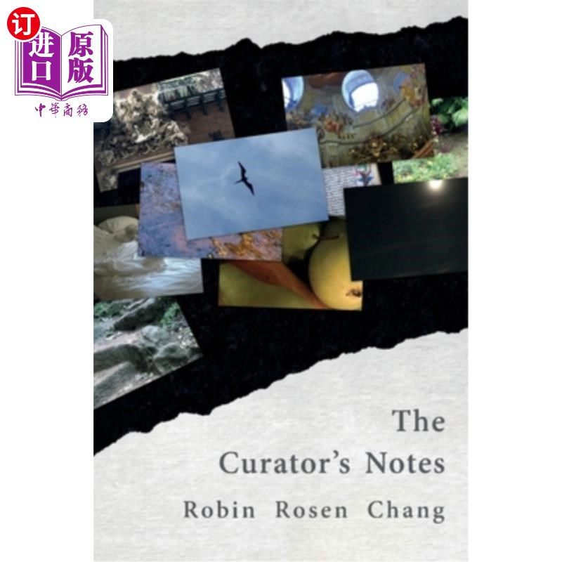 海外直订The Curator's Notes 馆长笔记