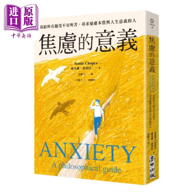 焦虑的意义 写给所有饱受不安所苦 寻求忧虑本质与人生意义的人 港台原版 萨米尔乔普拉 麦田出版【中商原版】