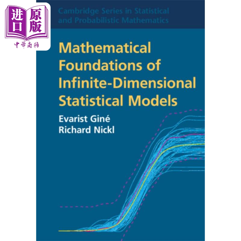 无限维统计模型的数学基础