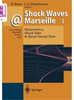 海外直订Shock Waves @ Marseille I: Hypersonics, Shock Tube & Shock Tunnel Flow 马赛一号冲击波：高超音速、激波管和激波隧