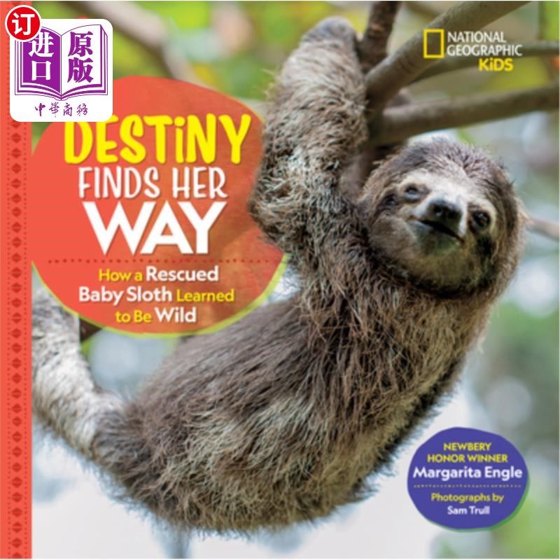 海外直订Destiny Finds Her Way: How a Rescued Baby Sloth Learned to Be Wild 命运找到了她的路:一只获救的树懒宝宝如何