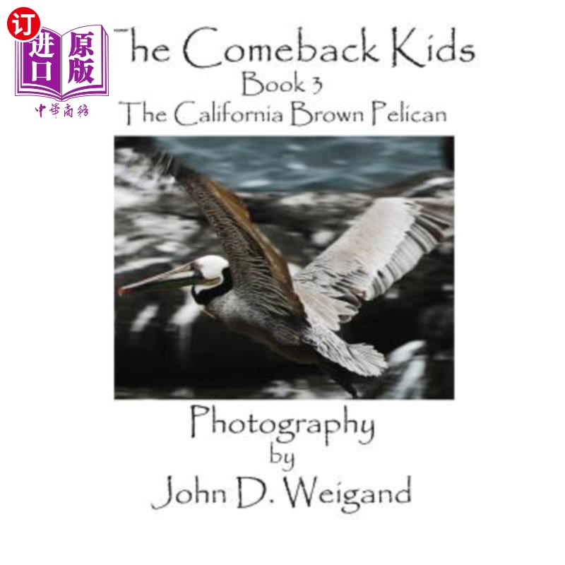 海外直订The Comeback Kids, Book 3, the California Brown Pelican 《卷土重来的孩子》第三册加州褐鹈鹕