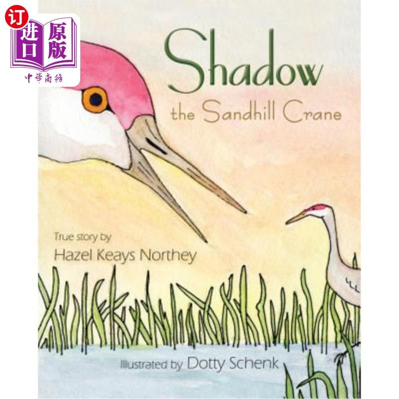 海外直订shadow the sandhill crane 暗影沙丘鹤
