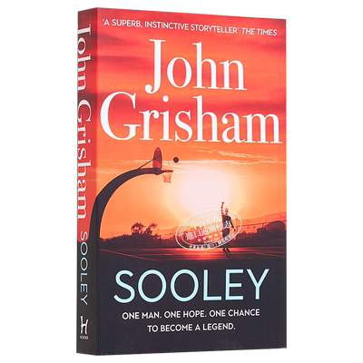 推理与惊悚小说苏雷约翰格里森姆