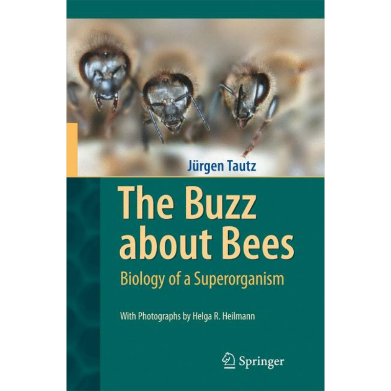 现货 关于蜜蜂的嗡嗡声 英文原版 The Buzz about Bees Jurgen Tautz【中商原版】