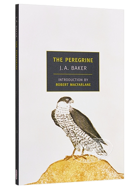游隼 豆瓣阅读 英文原版 The Peregrine J. A. Baker 【中商原版】