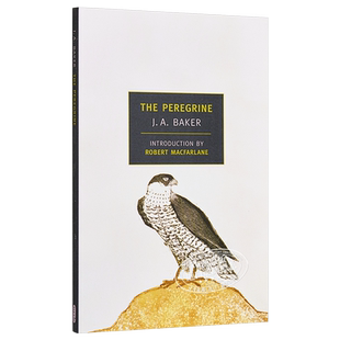 预售 游隼 豆瓣阅读 英文原版 The Peregrine J. A. Baker 【中商原版】