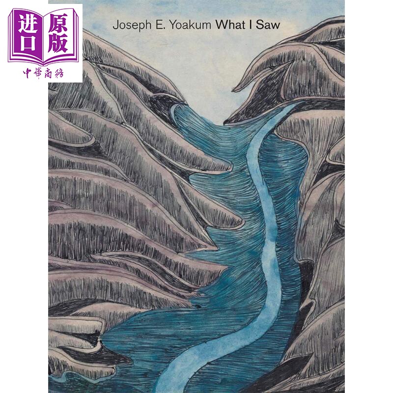 Joseph E. Yoakum: What I Saw 进口艺术 美国艺术家约瑟夫·e·尤库姆 我所看到的 Yale【中商原版】