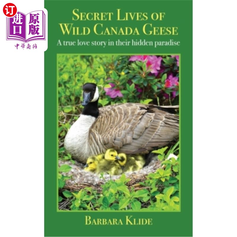 海外直订Secret Lives of Wild Canada Geese: A true love story in their hidden paradise加拿大野鹅的秘密生活:一个发生