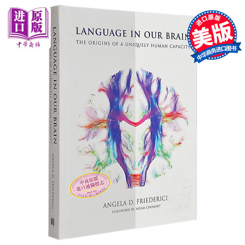现货 我们大脑中的语言 Language in Our Brain 英文原版 Angela D Friederici 人类认知 脑科学研究【中商原版】