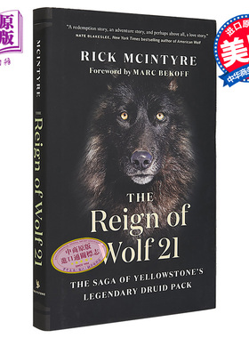 现货 The Reign of Wolf 21 Rick McIntyre 英文原版 狼21的统治 黄石传奇德鲁伊狼群的传奇【中商原版】