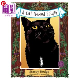 一只叫蜘蛛 海外直订A Spider Named 猫 Cat