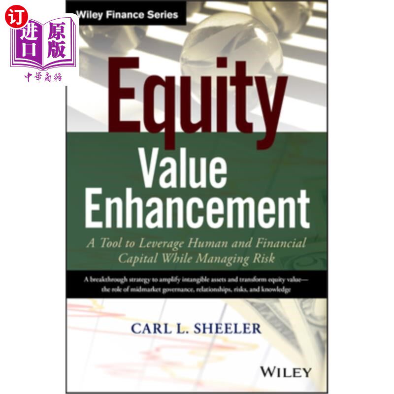 海外直订Equity Value Enhancement: A Tool to Leverage Human and Financial Capital While M 股权价值提升:在管理风险的