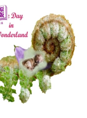 海外直订One Day In Wonderland: Magic of advanture in wonderland.Colorful Nature. 《仙境一日：仙境中进步的魔力》。多