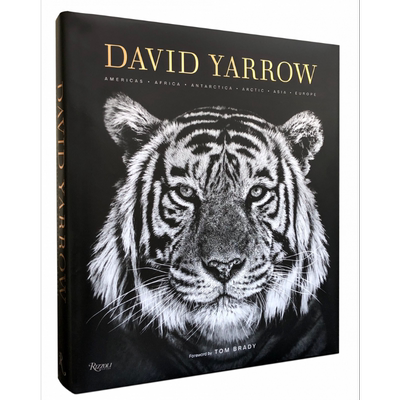 动物摄影 动物摄影师大卫亚罗作品集 进口艺术 David Yarrow Photography Rizzoli【中商原版】