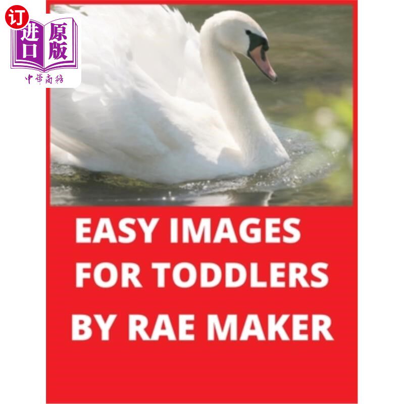 海外直订Easy Images for Toddlers 幼儿简单图片