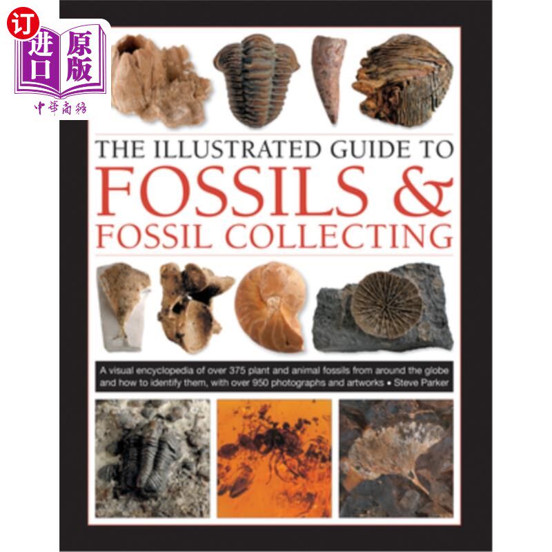 海外直订The Illustrated Guide to Fossils & Fossil Collecting: A Reference Guide to Over  《化石与化石收集图解指南：