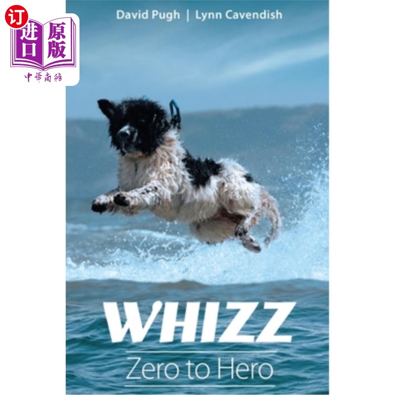 海外直订Whizz: Zero to Hero从零到英雄