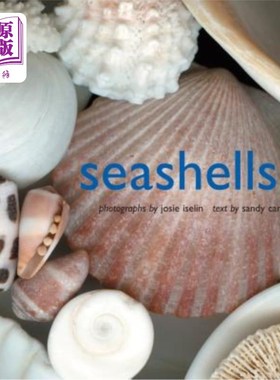 海外直订Seashells 贝壳