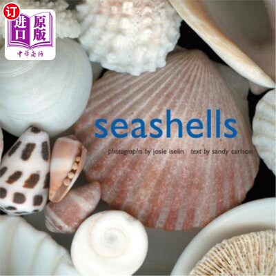 海外直订Seashells 贝壳