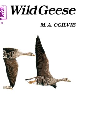 海外直订Wild Geese 野鹅