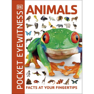 DK目击者口袋系列 动物 Pocket Eyewitness Animals 英文原版 DK百科 探索动物世界 【中商原版】