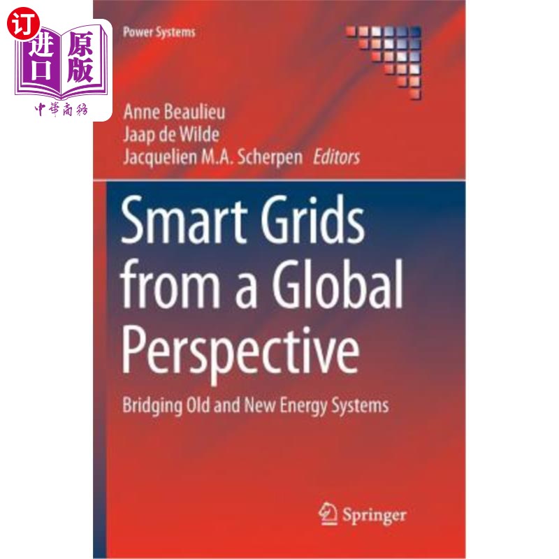 海外直订Smart Grids from a Global Perspective: Bridging Old and New Energy Systems 全球视野下的智能电网:连接新旧能