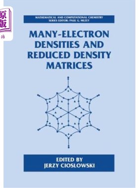 海外直订Many-Electron Densities and Reduced Density Matrices 许多电子密度和约化密度矩阵